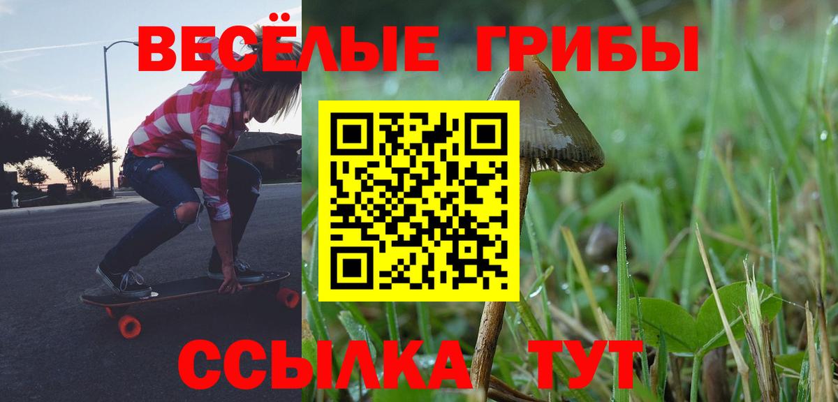 Галлюциногенные грибы Psilocybine cubensis  купить   Миасс  Вход с VPN 